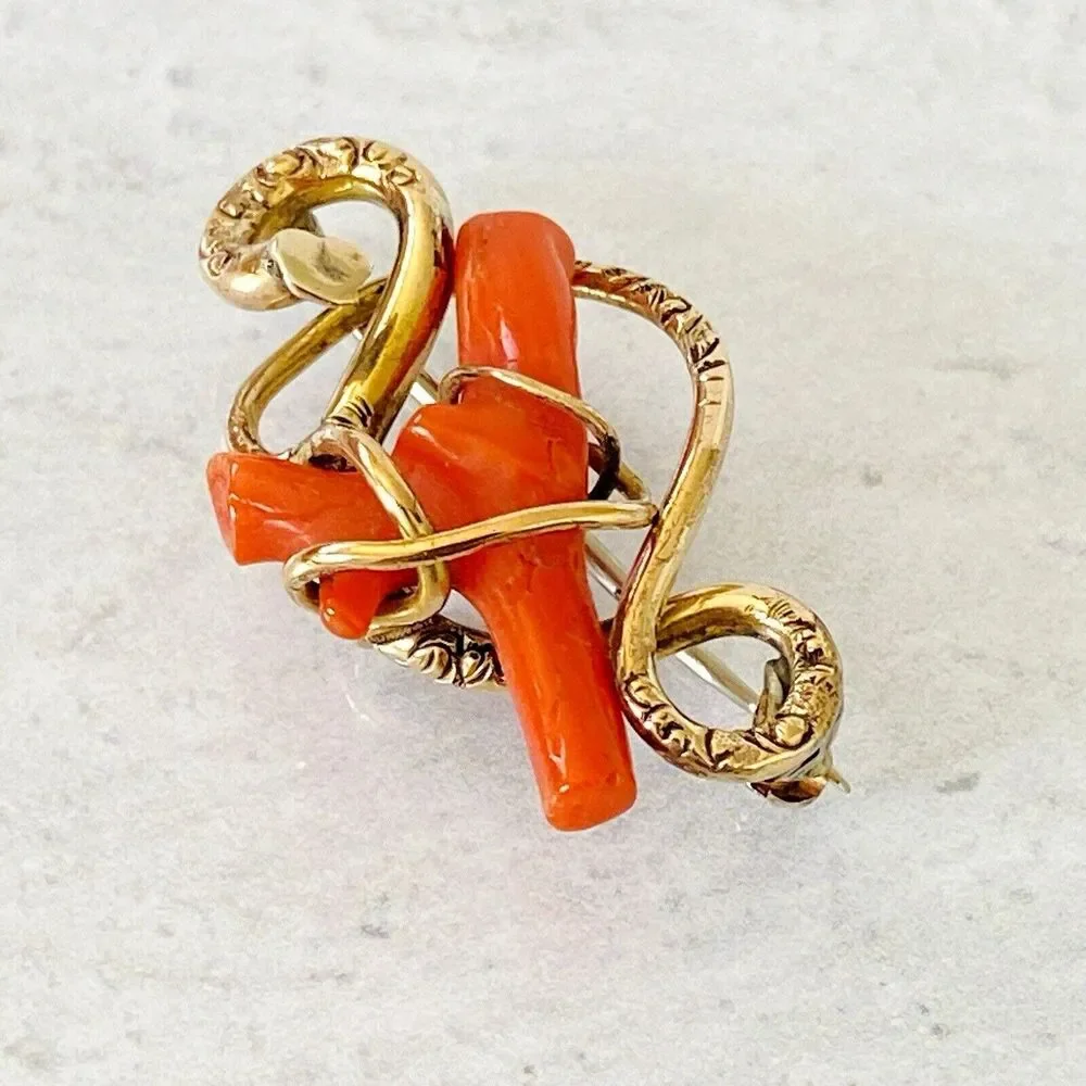Antique Victorian Coral Branch Brooch In Gold Filled Snake Form Nice 1.5